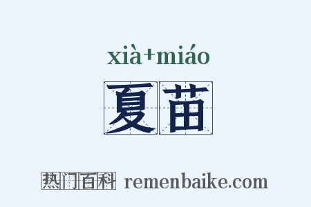 夏苗是什么意思的图片